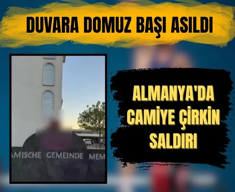 Almanya'da camiye çirkin saldırı: Duvara domuz başı asıldı