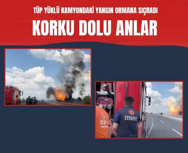 Aksaray'da tüp yüklü tırda çıkan yangın ormana sıçradı