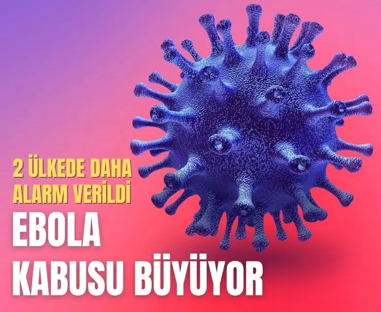 Kongo'da yayılan Ebola salgını nedeniyle uluslararası alarm verildi