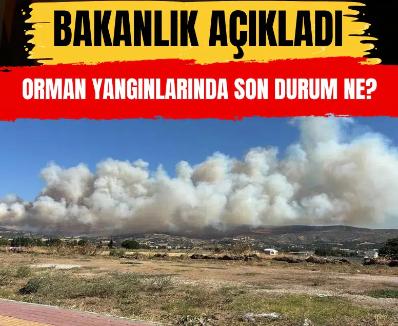 Kaş ve Nazilli yangınlarının enerjisi düşürüldü: 4 noktada müdahale sürüyor