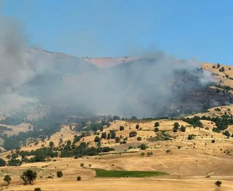 Muğla ve Diyarbakır’da alevlerle kritik mücadele: Ekipler teyakkuzda!