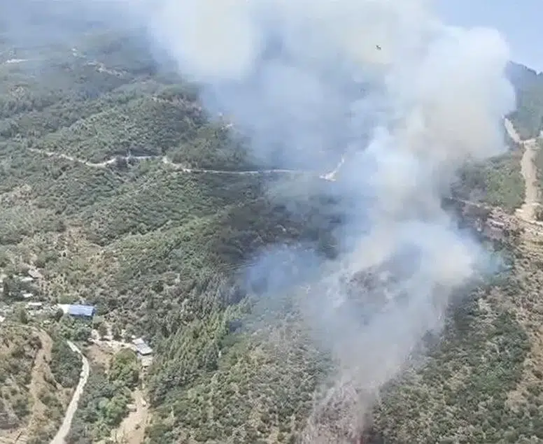 İzmir ve Kütahya’da orman yangını: Havadan ve karadan müdahale başladı!