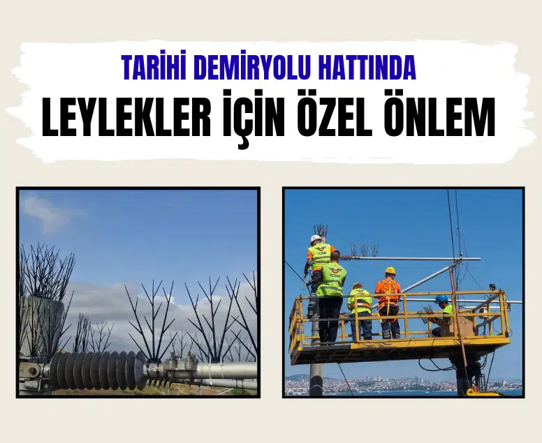Tarihi demiryolu hattında leylekler için özel önlem alındı