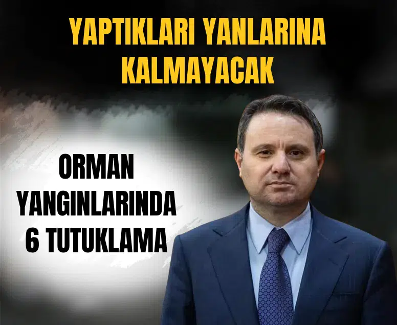 Orman yangınlarına ilişkin soruşturmalarda 6 kişi tutuklandı