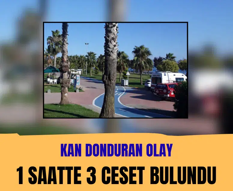 Kocaeli sahilinde üç ceset bulundu: Soruşturma başlatıldı