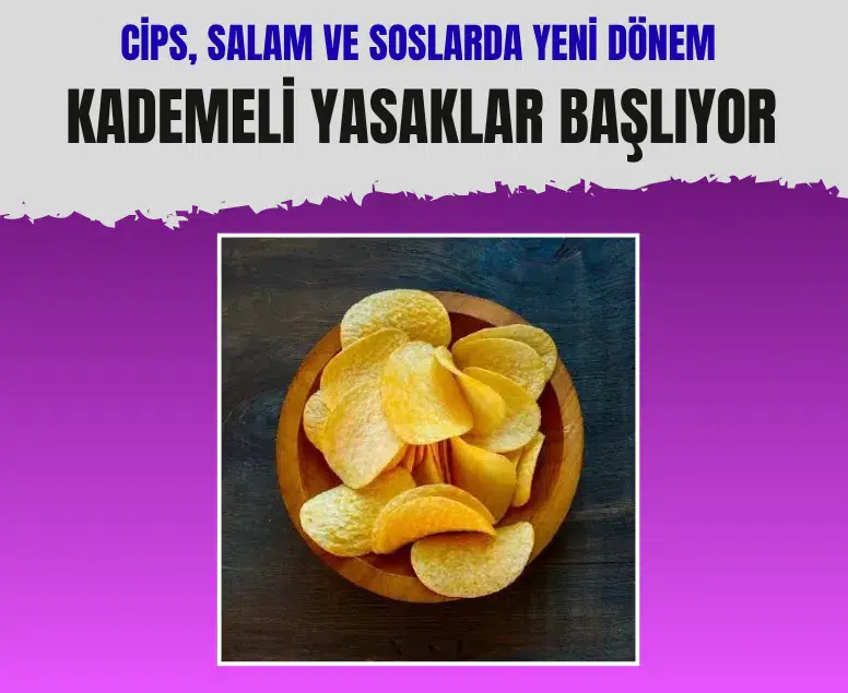 Cips ve soslarda tütsü aroması kullanımı kademeli olarak yasaklanıyor