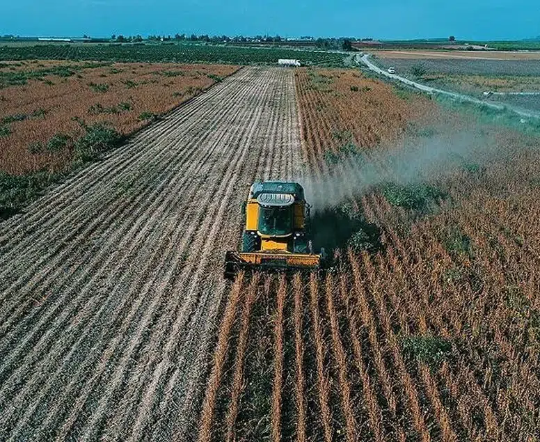 Çiftçiye 195,6 milyon liralık yeni destek: Ödemeler hesaplara yatıyor