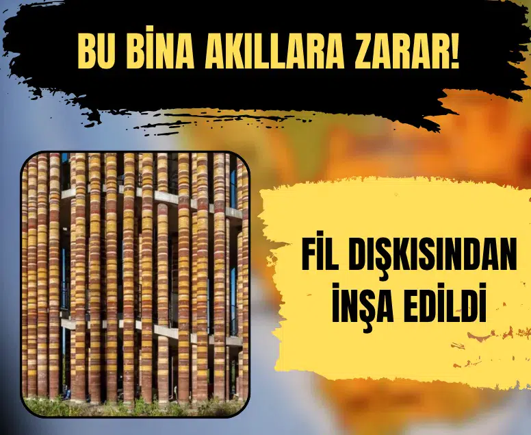 Tayland’da fil dışkısından üretilen tuğlalarla Goya Tower inşa edildi