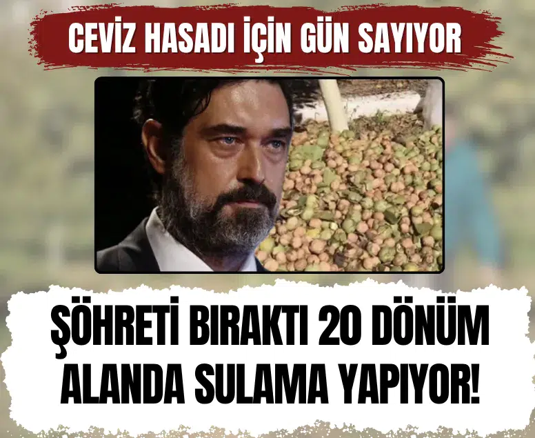 Burak Hakkı Çanakkale'deki çiftliğinde ceviz hasadına hazırlanıyor
