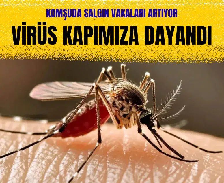 Yunanistan'da Batı Nil virüsü vakaları artıyor: Vaka sayısı 110'a ulaştı
