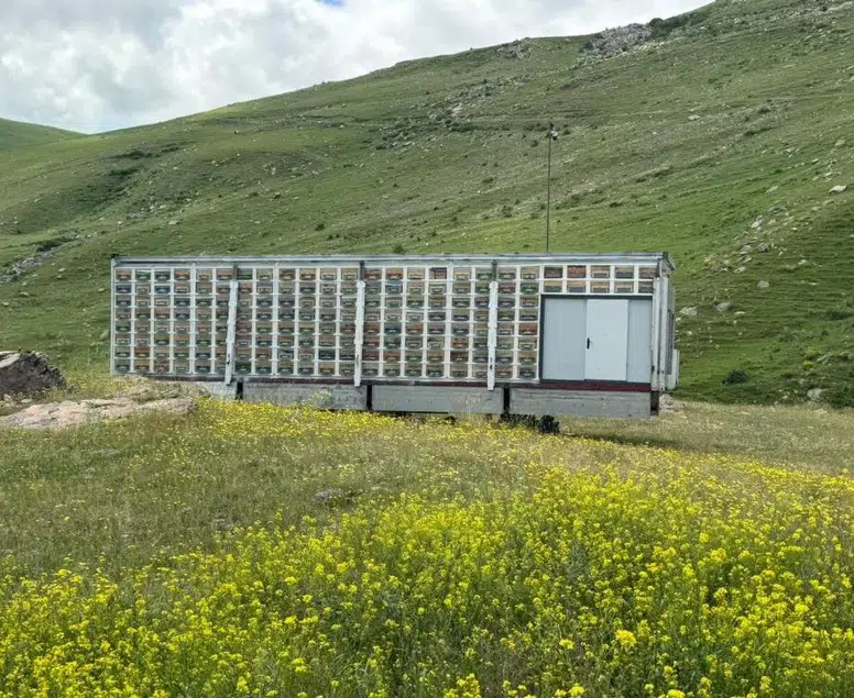 Kars’ta arıcılık devrimi: Türkiye’nin en büyük mobil üretim üssü kuruldu!