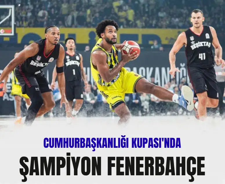 Fenerbahçe Cumhurbaşkanlığı Kupası'nda Beşiktaş'ı yenerek şampiyon oldu