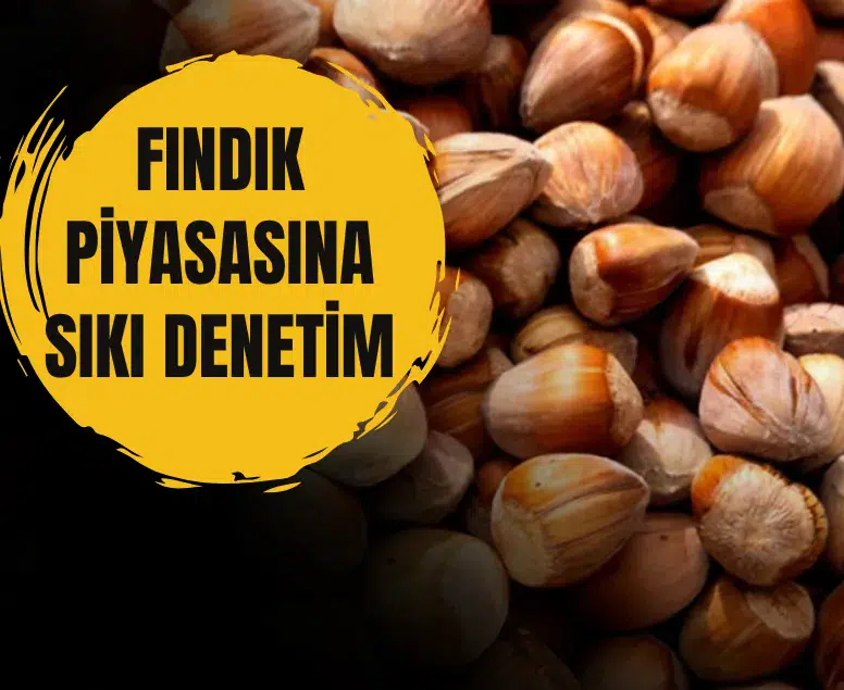 Ticaret Bakanlığından iki ilde fındık piyasasına inceleme: Müfettişler görevlendirildi