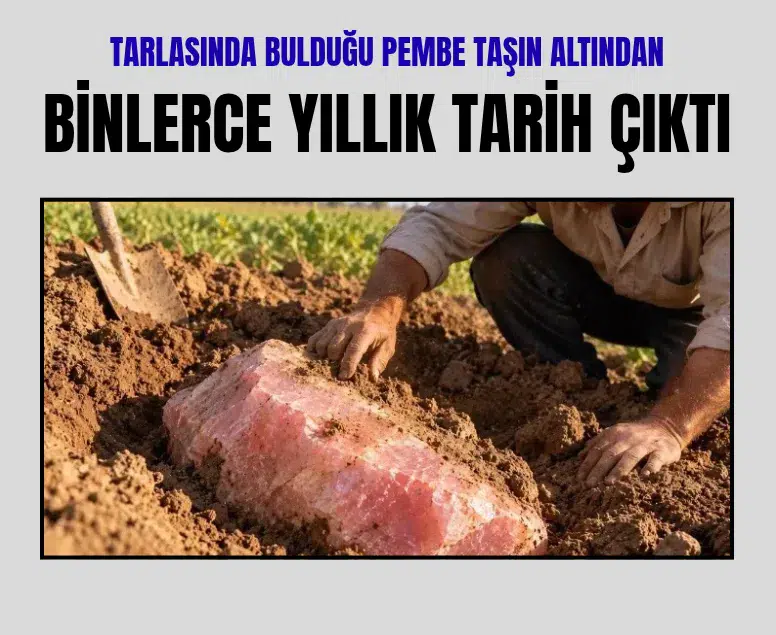 Mısır'da bir çiftçinin tarlasında bulunan pembe taşın altından 3 bin yıllık firavun heykelleri çıktı