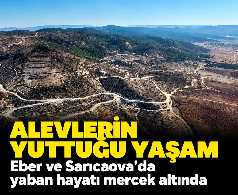 Alevlerin yuttuğu yaşam: Eber ve Sarıcaova'da yaban hayatı mercek altında