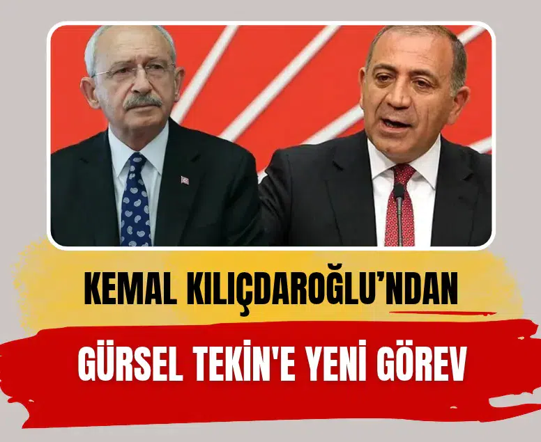 Gürsel Tekin, Genel Başkanlık Makamına Bağlı Koordinatör olarak atandı