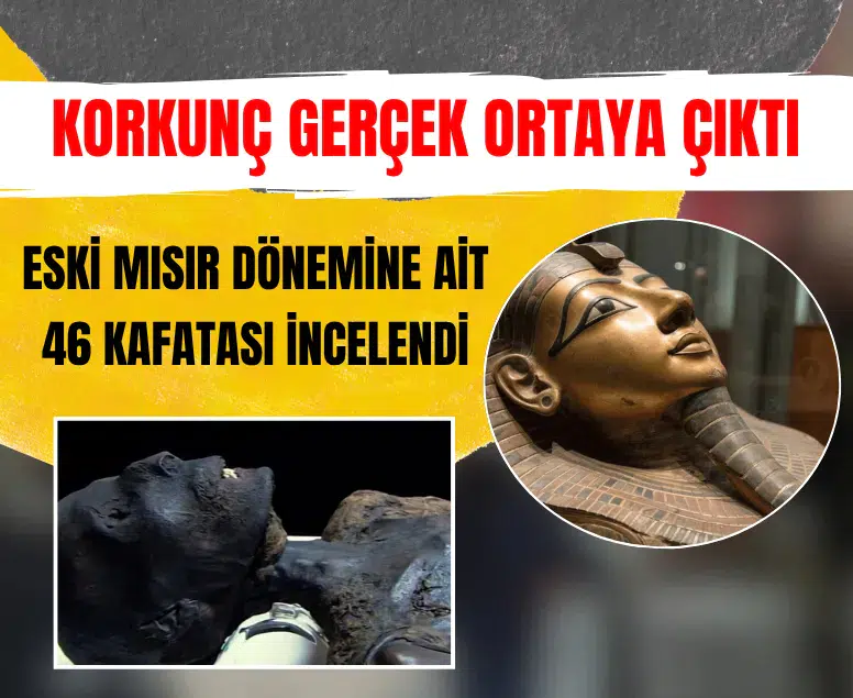 Eski Mısır'da saray görevlilerinin kurban edildiği kesinleşti