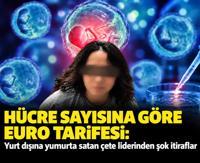 Hücre sayısına göre euro tarifesi: Yurt dışına yumurta satan çete liderinden şok itiraflar