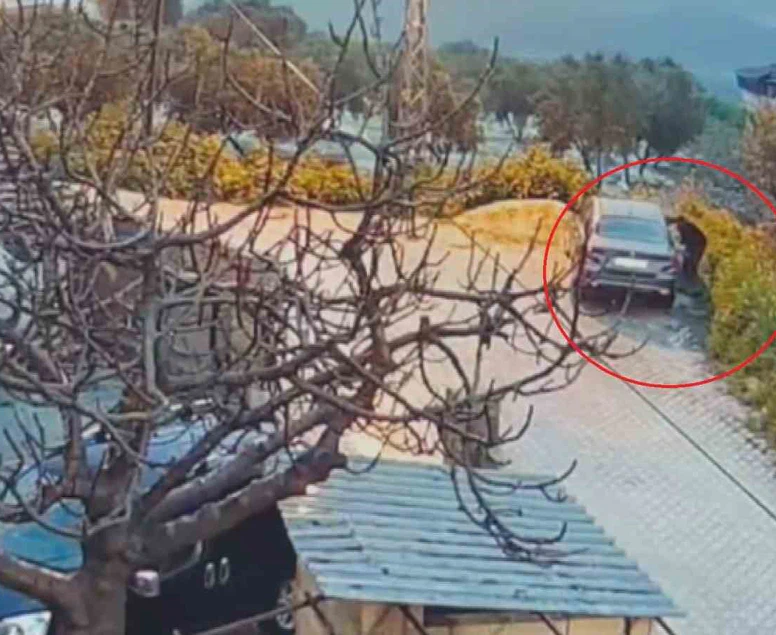 Zeytinliğe kaçan saldırgan tanıdık çıktı: Hatay'da şoke eden miras intikamı!