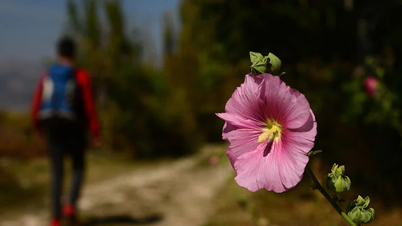 Kırka Yolu
