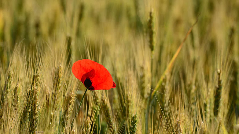 Kırka Yolu'nun Eski Yolcuları İle Buluştuk