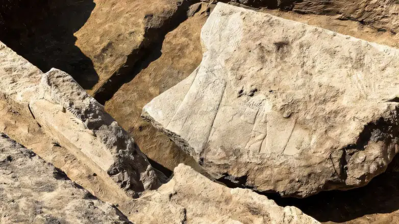 12 Tonluk Gizemli Kabartma Göreni Büyülüyor