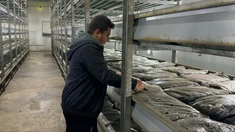 Isparta'da örnek tesis: 50 yaşında hayatını değiştirdi!