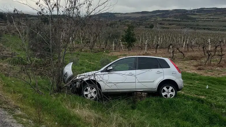 Direksiyon hakimiyetini kaybetti, üzüm bağına girdi! Denizli’de aynı noktada 2 kaza