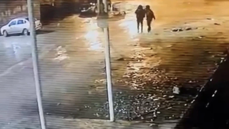 Siverek’te pes dedirten hırsızlık! 19 Koyun böyle gitti