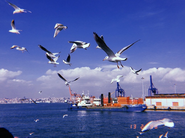 Selin Sezgin fotoğrafları 297