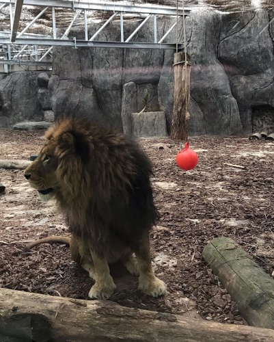 Hayalimdeki Gelinlik Neslihan Oktay fotoğrafları 57