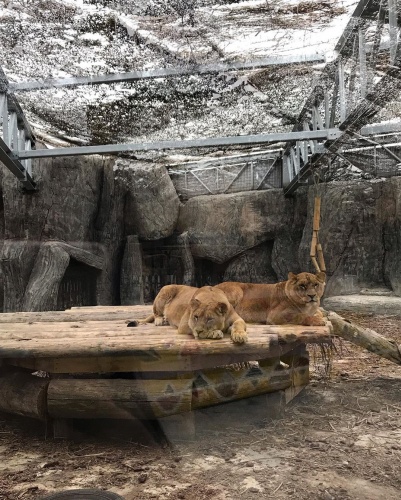 Hayalimdeki Gelinlik Neslihan Oktay fotoğrafları 60