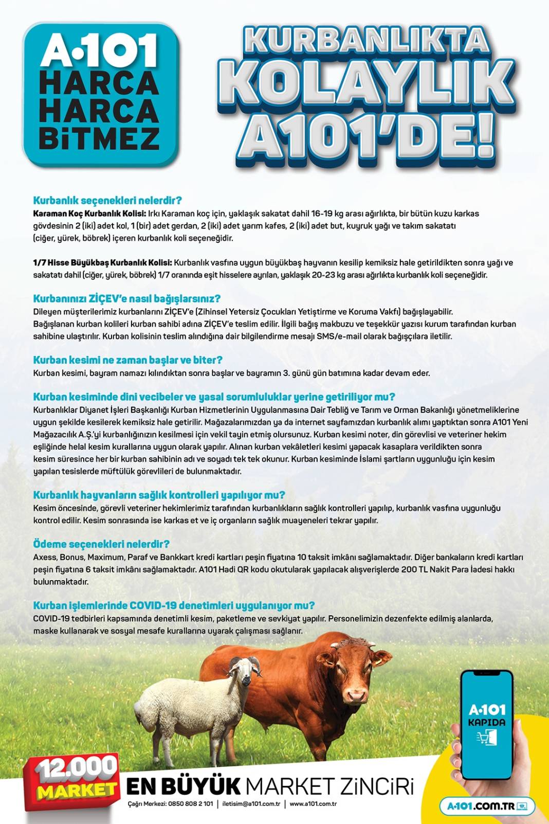 A101 Kurbanlık Fiyatlarını Açıkladı, En Ucuz Küçükbaş, Büyükbaş Kurbanlık Ne Kadar? 6