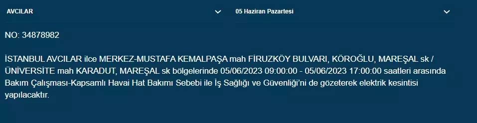 İstanbul'da yarın hangi ilçelerde elektrik kesintisi olacak 22