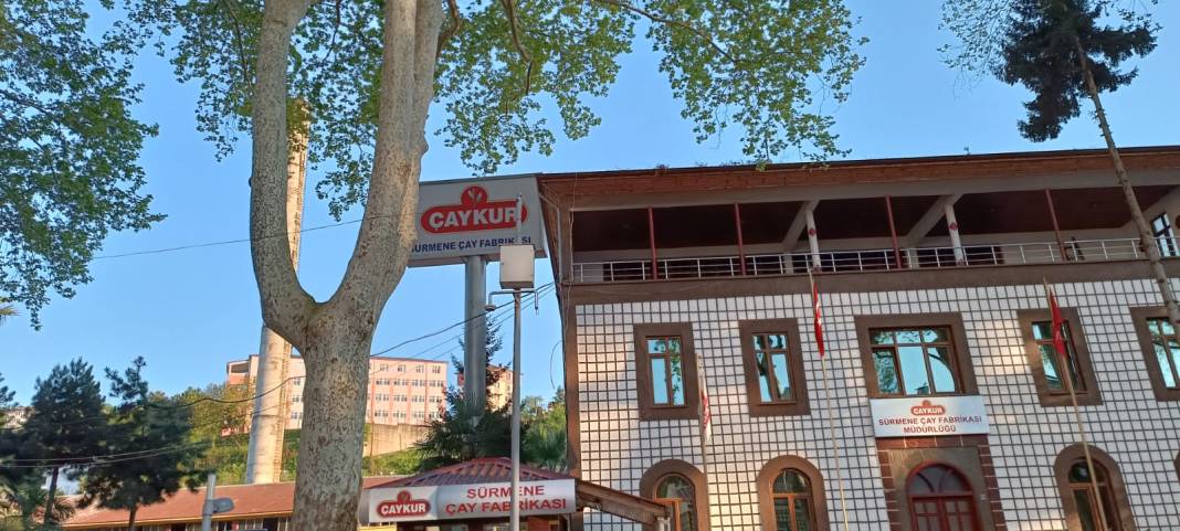 ÇAYKUR Sürmene'de kabus oldu! 3