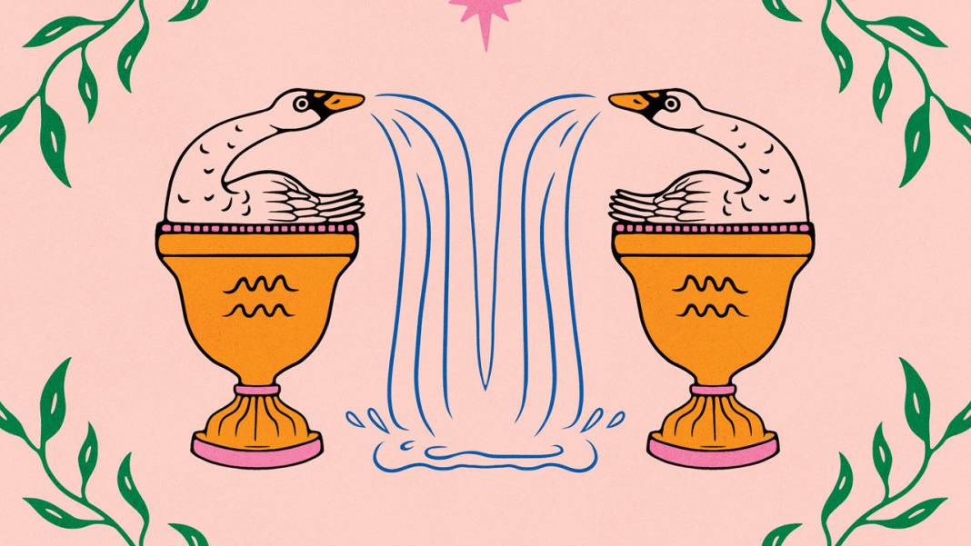 Akademik bölümünüzü ve kariyer rotanızı belirleyin: Yükselen Kova 2