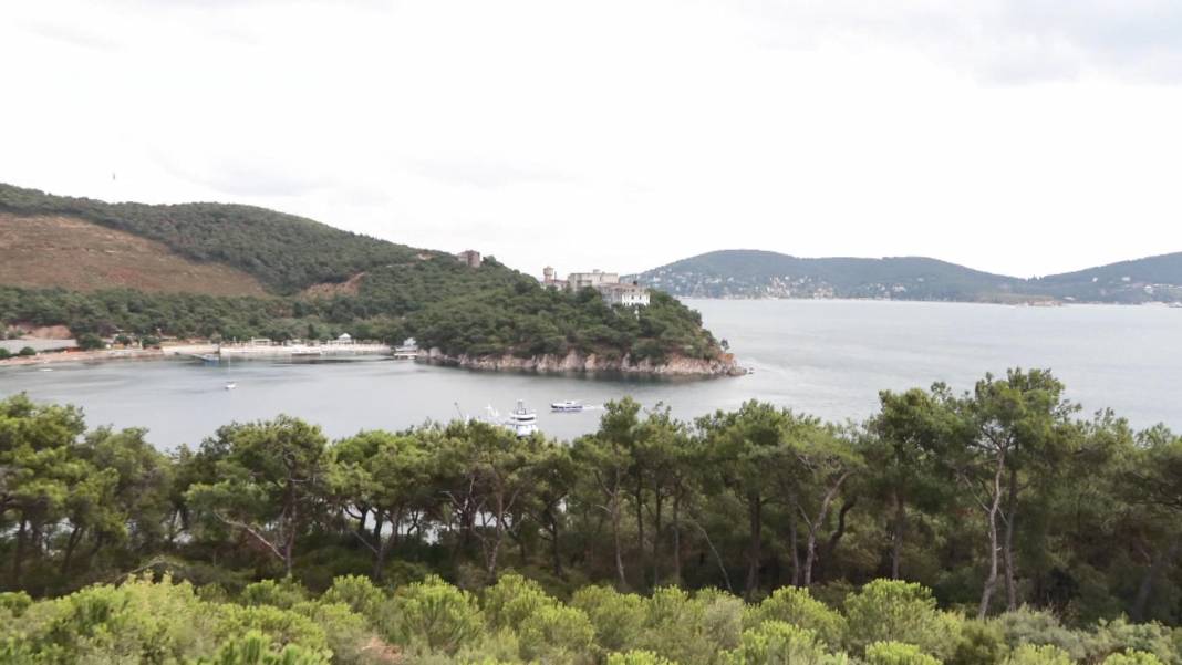 İşte İstanbul'da yangın riski en yüksek bölgeler 5