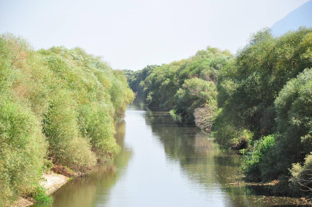 Nehirde kirlilik alarmı: 4'üncü dereceye ulaştı 3