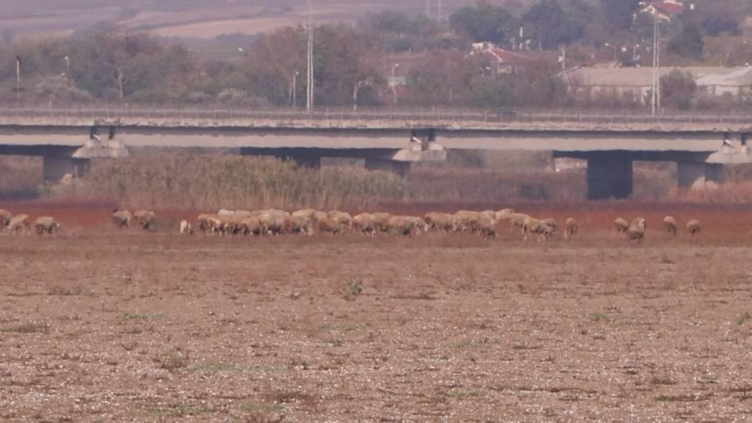 Büyükçekmece Gölü kurudu, artık İstanbul'a su verilmiyor 5