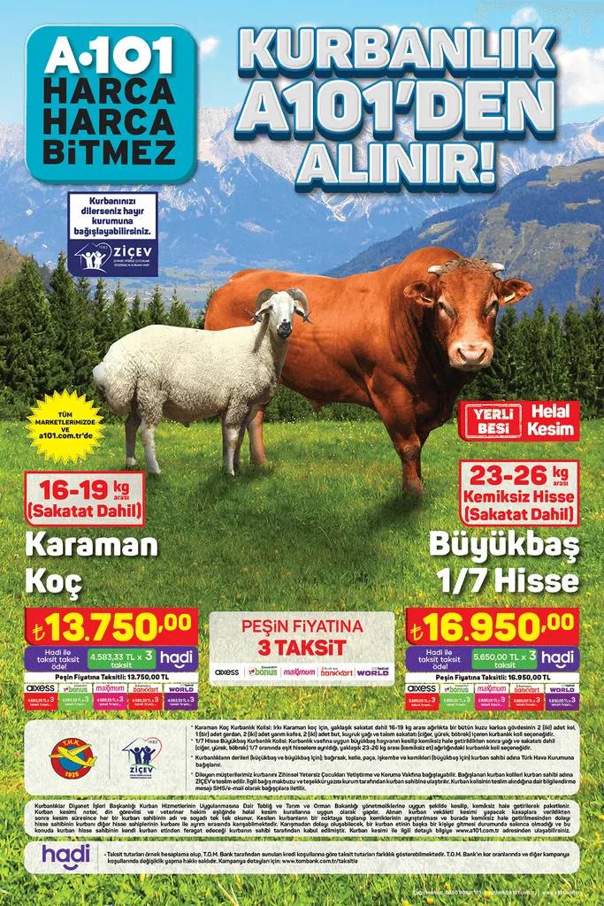 A101 2024 Kurban Bayramı kataloğu, deniz ve plaj ürünleri, güneş kremi, mayo ve şort, plaj terliği, şnorkel setleri satışta! 2