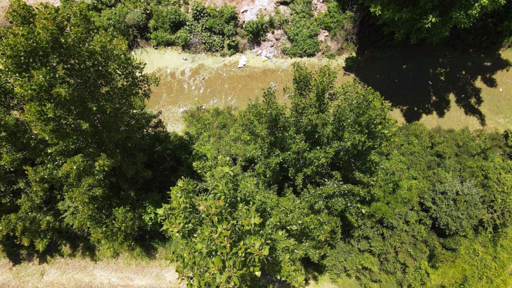 Bayır Deresi, yeşile büründü: Vatandaşlar isyan etti