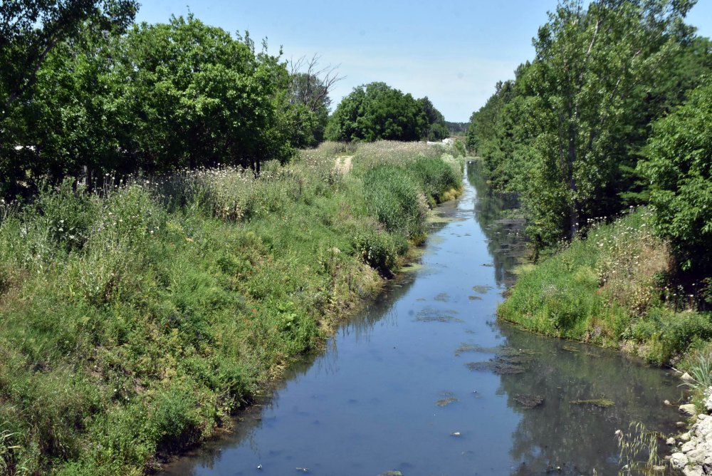 Bayır Deresi, yeşile büründü: Vatandaşlar isyan etti