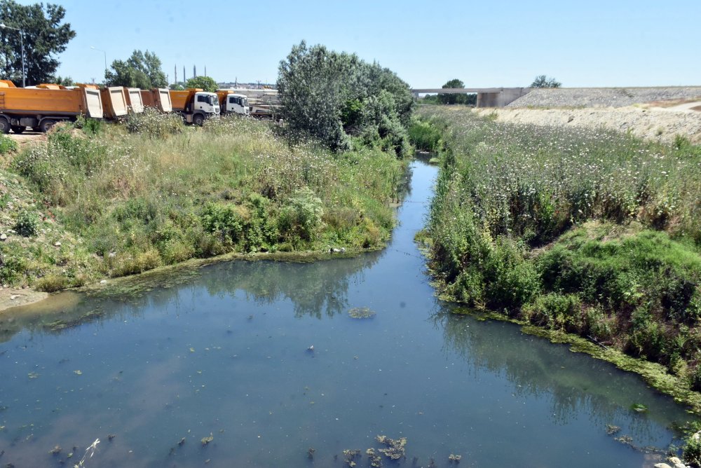 Bayır Deresi, yeşile büründü: Vatandaşlar isyan etti