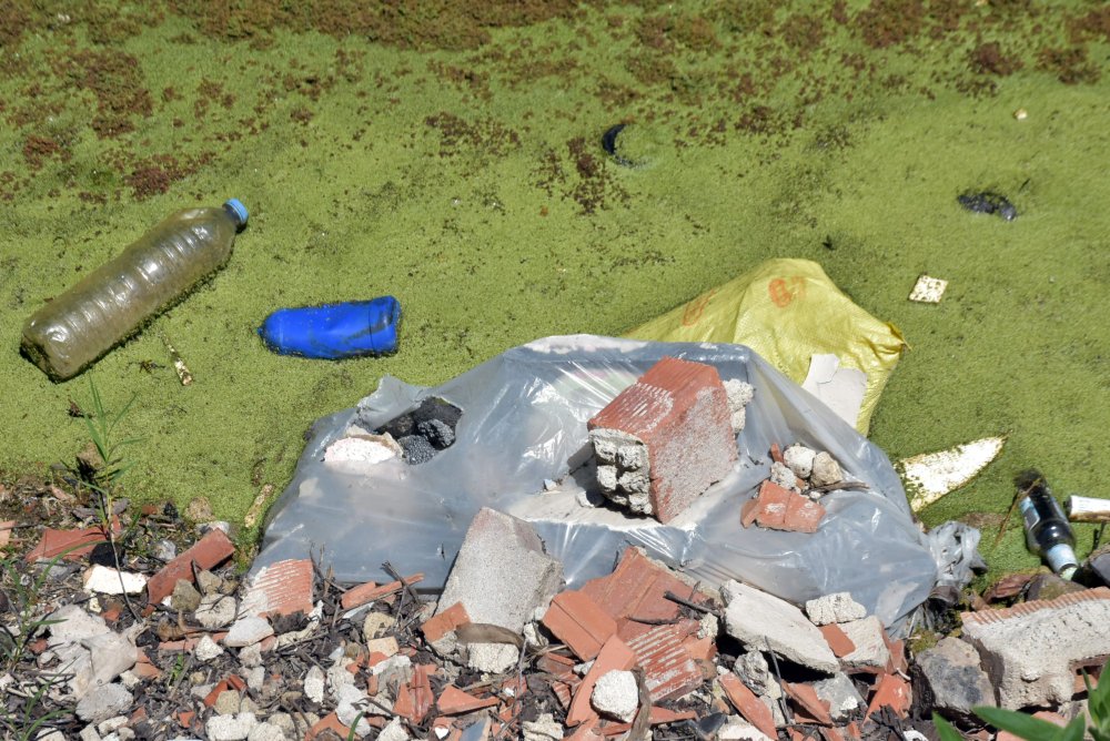 Bayır Deresi, yeşile büründü: Vatandaşlar isyan etti