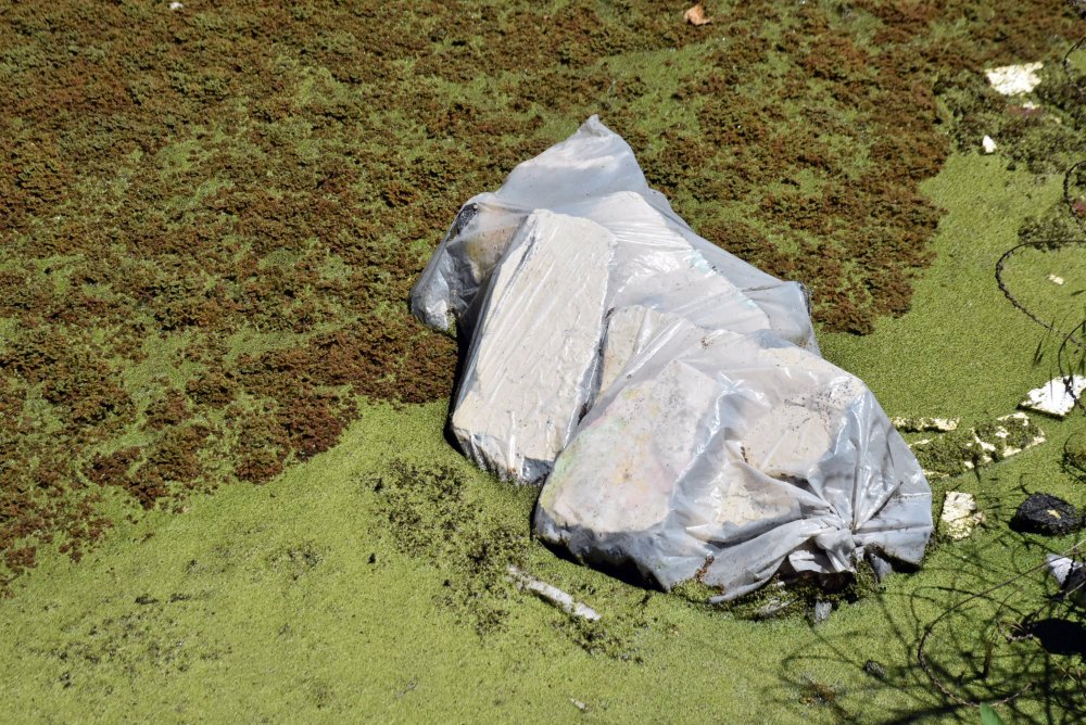 Bayır Deresi, yeşile büründü: Vatandaşlar isyan etti