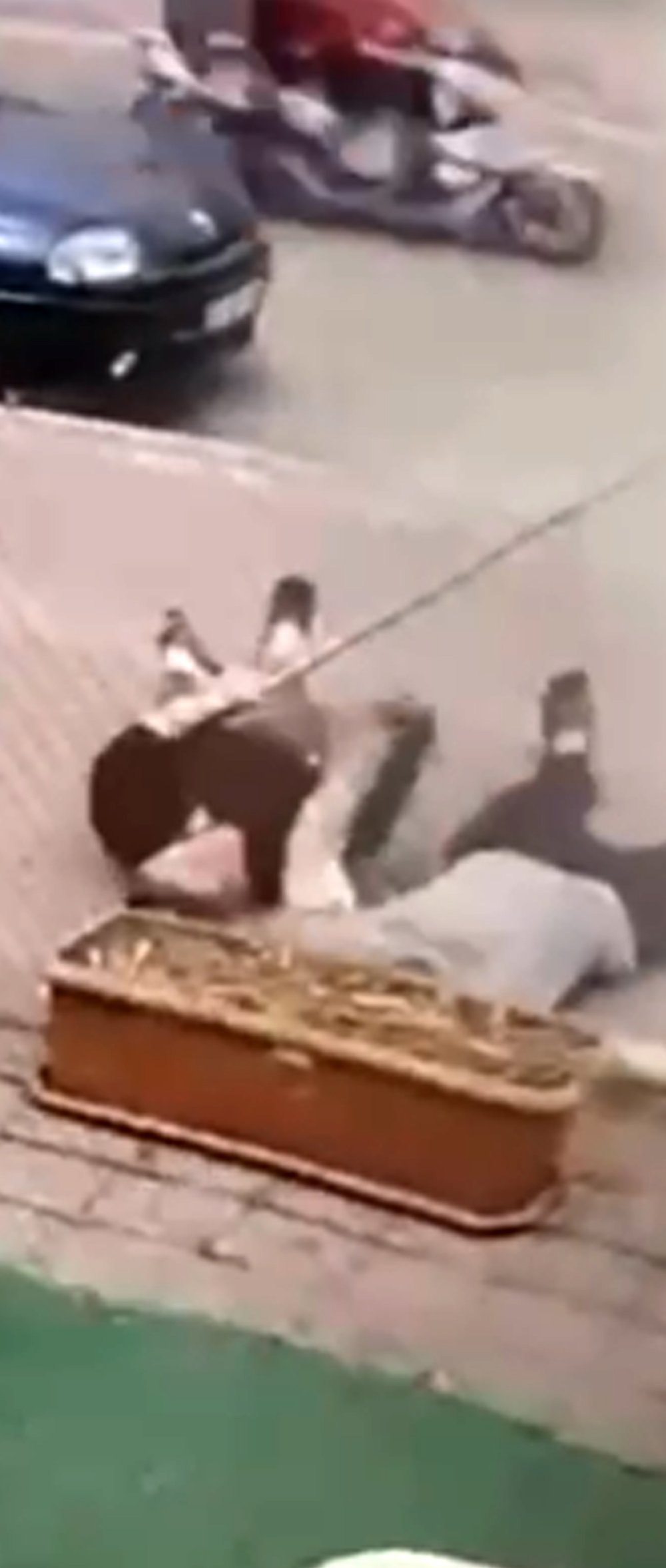 Papağanı kurtarmak isterken canından oldu