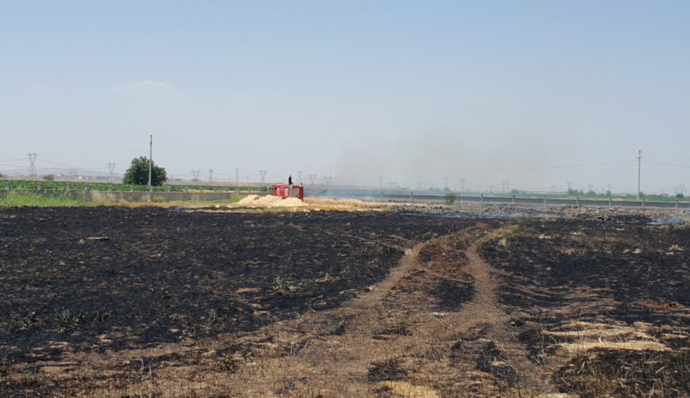 Kulübede çıkan yangın tarlaya sıçradı: 10 dönüm alan küle döndü