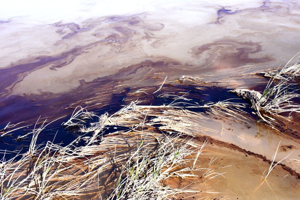 Kızılırmak yüzeyinde korkutan görüntü: 'Görünce dehşete kapıldık'