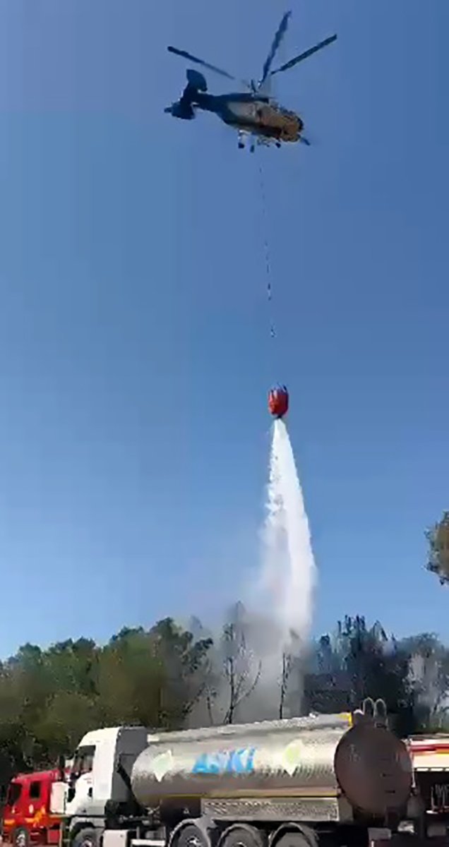 Üniversitede başlayıp ormana sıçrayan yangında 'kundaklama' tespiti