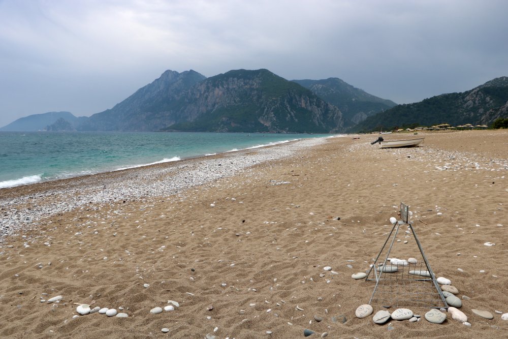 Turistlere nesli tehlike altındaki tür için SMS ile uyarı